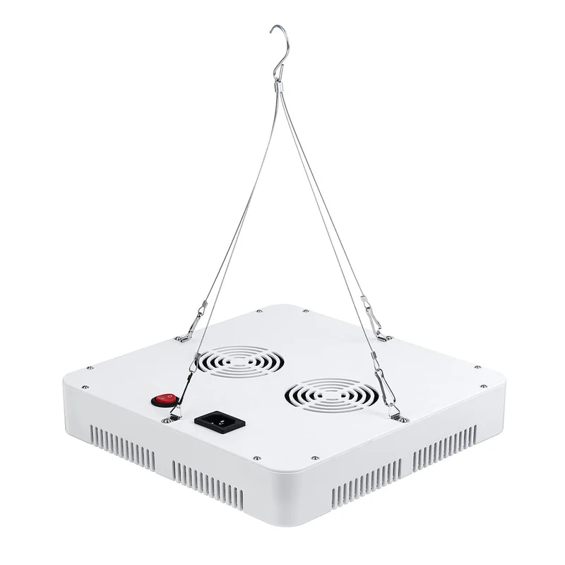 allesxl-12545823