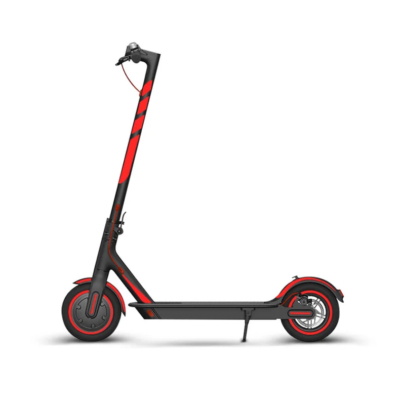 allesxl-12599017