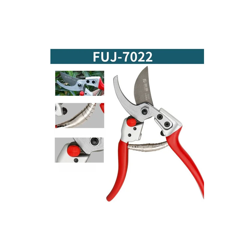 allesxl-12749399