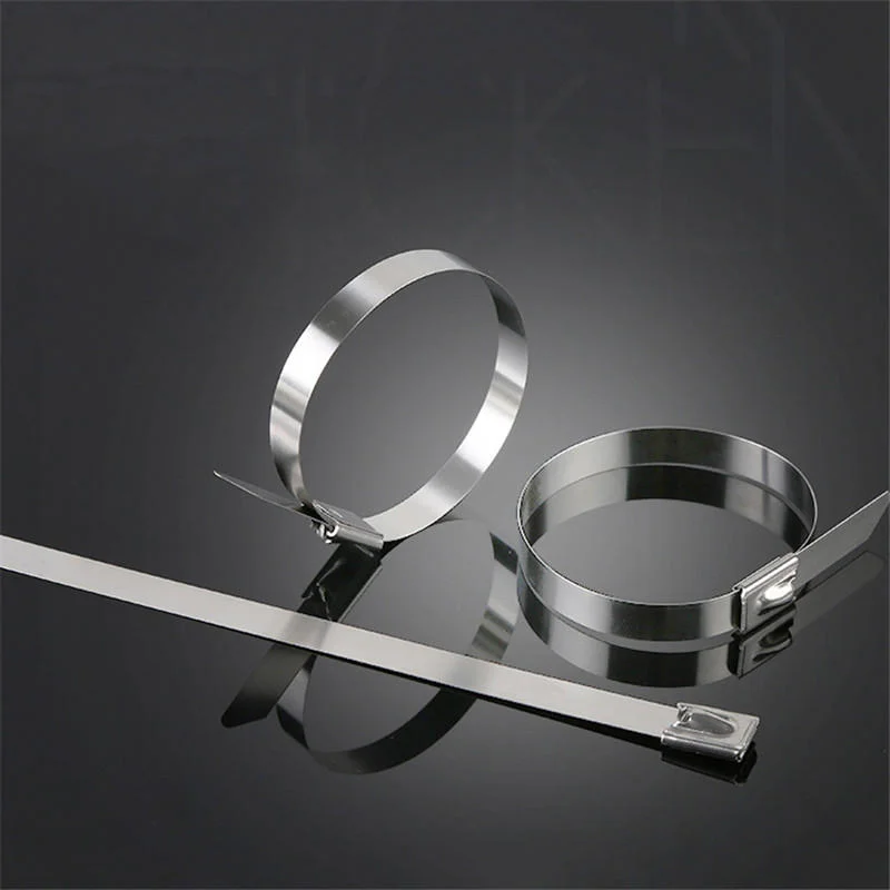 allesxl-12810990