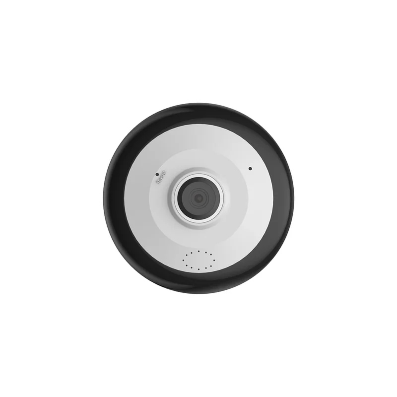 allesxl2529016