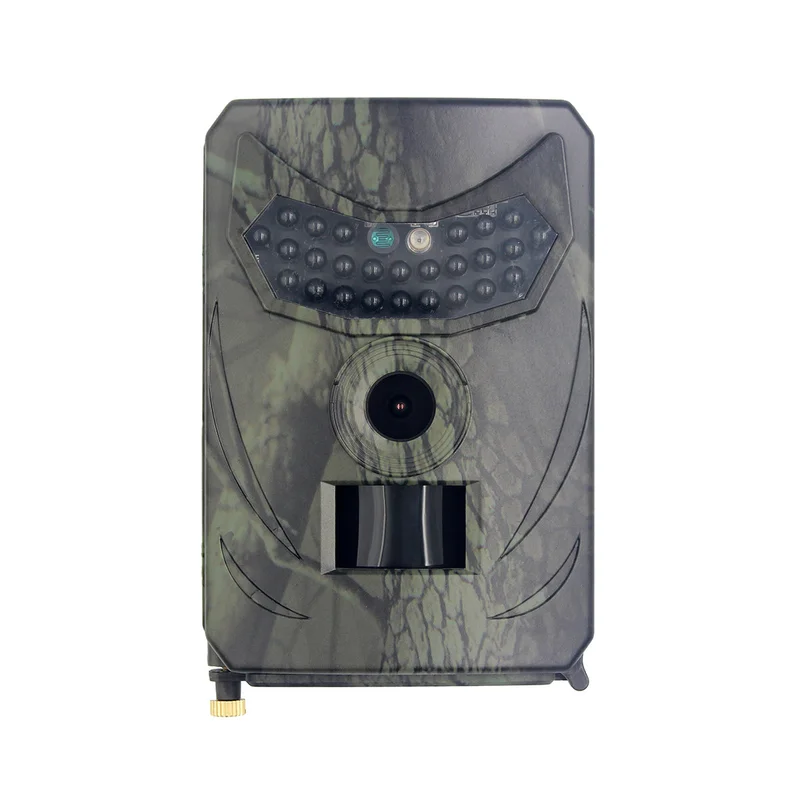 allesxl2579553