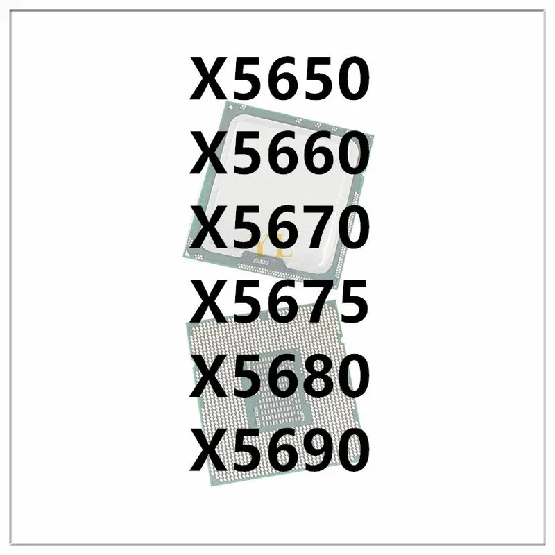allesxl2650706