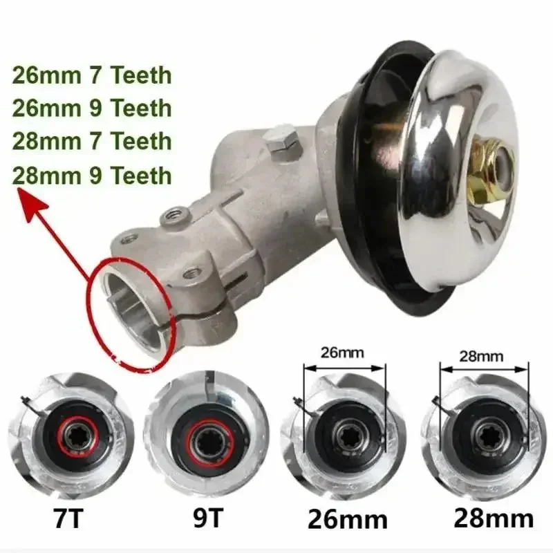 allesxl2754419