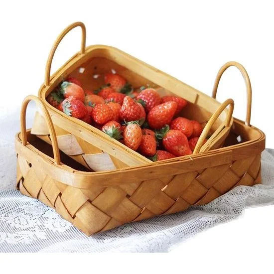 ribbi3112729