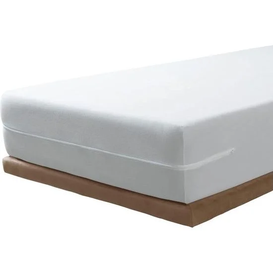 ribbi3142000