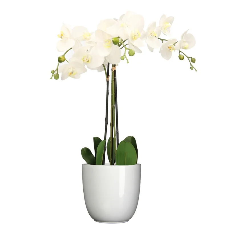 shoppartners-32602330