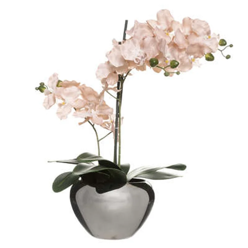 shoppartners2568636